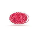 loofa-06.webp